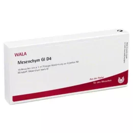 MESENCHYM GL D 4 ampulės, 10X1 ml
