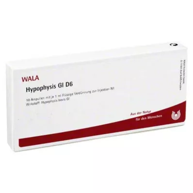 HYPOPHYSIS GL D 6 ampulės, 10X1 ml HYPOPHYSIS GL D 6 ampulės, 10X1 ml
