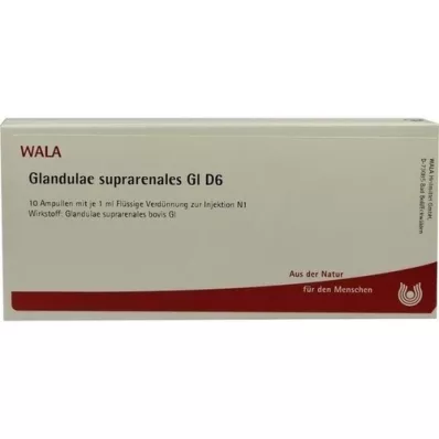 GLANDULAE SUPRARENALES GL D 6 ampulės, 10X1 ml