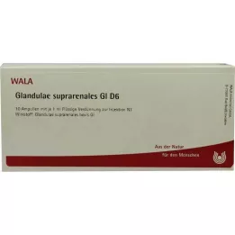 GLANDULAE SUPRARENALES GL D 6 ampulės, 10X1 ml