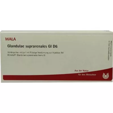 GLANDULAE SUPRARENALES GL D 6 ampulės, 10X1 ml