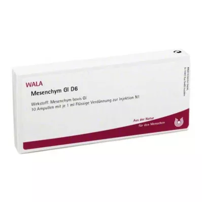 MESENCHYM GL D 6 ampulės, 10X1 ml