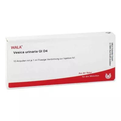 VESICA URINARIA GL D 4 ampulės, 10X1 ml