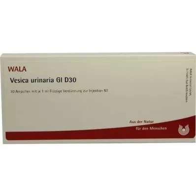 VESICA URINARIA GL D 30 ampulių, 10X1 ml