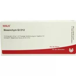 MESENCHYM GL D 12 ampulių, 10X1 ml