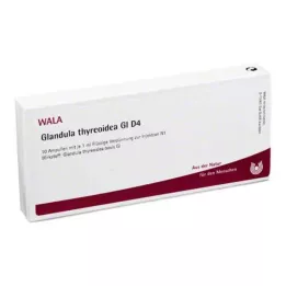 GLANDULA THYREOIDEA GL D 4 ampulės, 10X1 ml