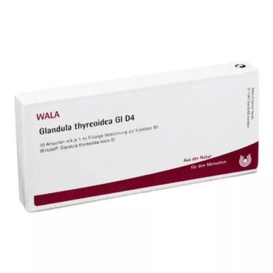 GLANDULA THYREOIDEA GL D 4 ampulės, 10X1 ml GLANDULA THYREOIDEA GL D 4 ampulės, 10X1 ml