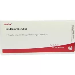 BINDEGEWEBE GL D 6 ampulės, 10X1 ml