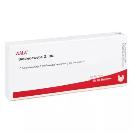 BINDEGEWEBE GL D 6 ampulės, 10X1 ml