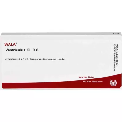 VENTRICULUS GL D 6 ampulės, 10X1 ml VENTRICULUS GL D 6 ampulės, 10X1 ml
