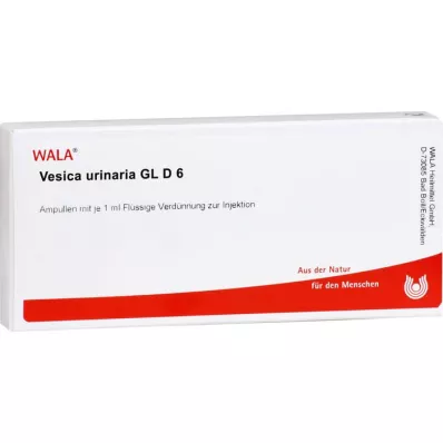 VESICA URINARIA GL D 6 ampulės, 10X1 ml