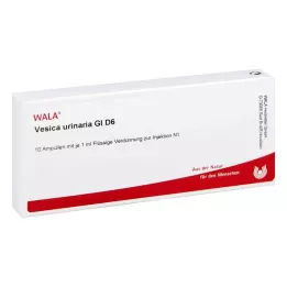 VESICA URINARIA GL D 6 ampulės, 10X1 ml