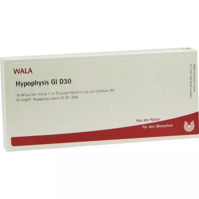 HYPOPHYSIS GL D 30 ampulių, 10X1 ml