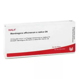 MANDRAGORA OFFICINARIUM e radice D 6 ampulės, 10X1 ml