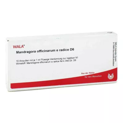 MANDRAGORA OFFICINARIUM e radice D 6 ampulės, 10X1 ml MANDRAGORA OFFICINARIUM e radice D 6 ampulės, 10X1 ml