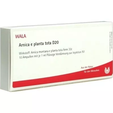 ARNICA E Planta tota D 20 ampulių, 10X1 ml