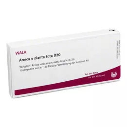 ARNICA E Planta tota D 20 ampulių, 10X1 ml