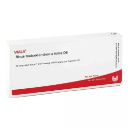 RHUS TOXICODENDRON E foliis D 6 ampulės, 10X1 ml