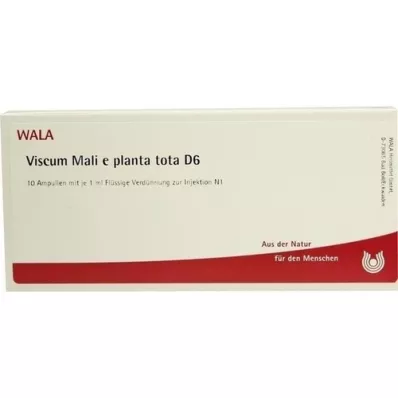VISCUM MALI e planta tota D 6 ampulės, 10X1 ml