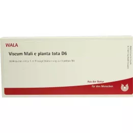 VISCUM MALI e planta tota D 6 ampulės, 10X1 ml