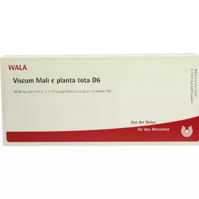 VISCUM MALI e planta tota D 6 ampulės, 10X1 ml