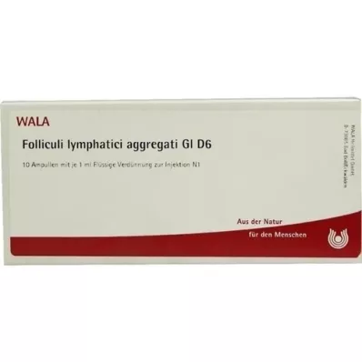 FOLLICULI LYMPHATICI agregatai GL D 6 ampulės, 10X1 ml