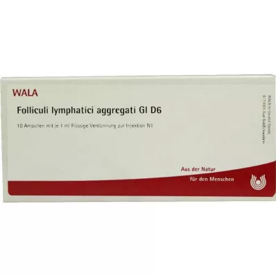 FOLLICULI LYMPHATICI agregatai GL D 6 ampulės, 10X1 ml FOLLICULI LYMPHATICI agregatai GL D 6 ampulės, 10X1 ml