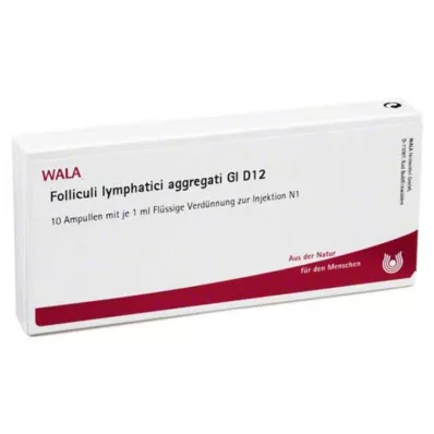 FOLLICULI LYMPHATICI agregatai GL D 12 ampulių, 10X1 ml