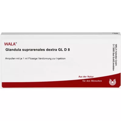 GLANDULA SUPRARENALES dextra GL D 8 ampulės, 10X1 ml