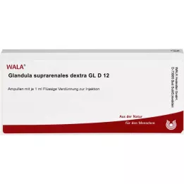 GLANDULA SUPRARENALES dextra GL D 12 ampulių, 10X1 ml