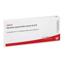 GLANDULA SUPRARENALES dextra GL D 12 ampulių, 10X1 ml