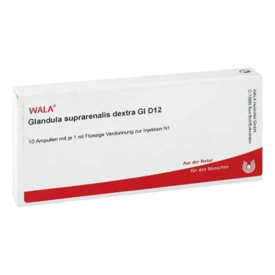 GLANDULA SUPRARENALES dextra GL D 12 ampulių, 10X1 ml
