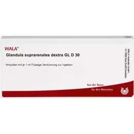 GLANDULA SUPRARENALES dextra GL D 30 ampulių, 10X1 ml