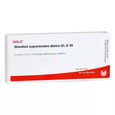 GLANDULA SUPRARENALES dextra GL D 30 ampulių, 10X1 ml