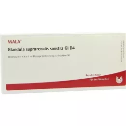 GLANDULA SUPRARENALIS sinistra GL D 4 ampulės, 10X1 ml