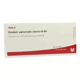GLANDULA SUPRARENALIS sinistra GL D 4 ampulės, 10X1 ml
