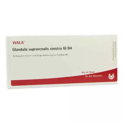 GLANDULA SUPRARENALIS sinistra GL D 4 ampulės, 10X1 ml