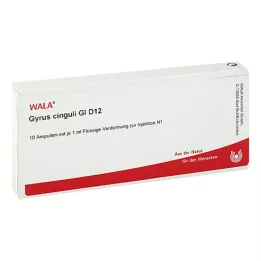 GYRUS cinguli GL D 12 ampulių, 10X1 ml