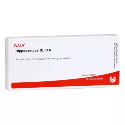 HIPPOCAMPUS GL D 6 ampulės, 10X1 ml