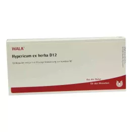 HYPERICUM EX Herba D 12 ampulių, 10X1 ml