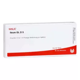 ILEUM GL D 5 ampulės, 10X1 ml