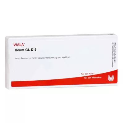 ILEUM GL D 5 ampulės, 10X1 ml