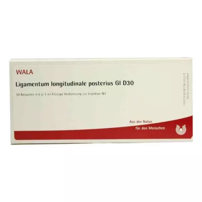 LIGAMENTUM LONGITUDINALE posterius GL D 30 amp, 10X1 ml LIGAMENTUM LONGITUDINALE posterius GL D 30 amp, 10X1 ml