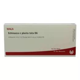 ECHINACEA E planta tota D 6 ampulės, 10X1 ml