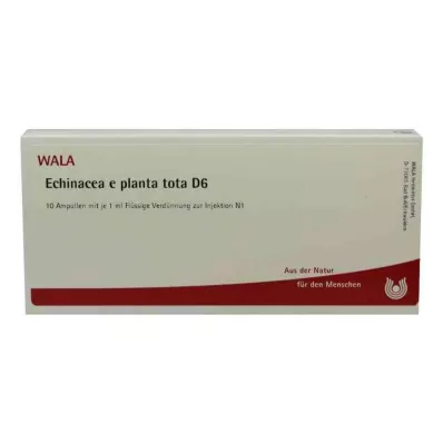 ECHINACEA E planta tota D 6 ampulės, 10X1 ml