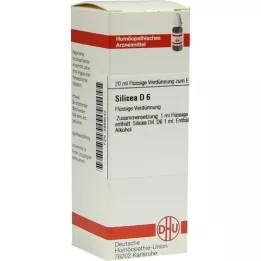 SILICEA D 6 skiedinys, 20 ml