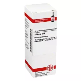 SILICEA D 6 skiedinys, 20 ml