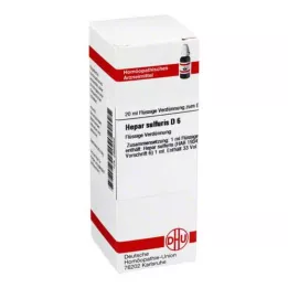 HEPAR SULFURIS D 6 skiedinys, 20 ml