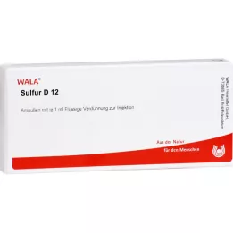 SULFUR D 12 ampulių, 10X1 ml