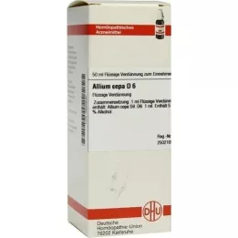 ALLIUM CEPA D 6 skiedinys, 50 ml